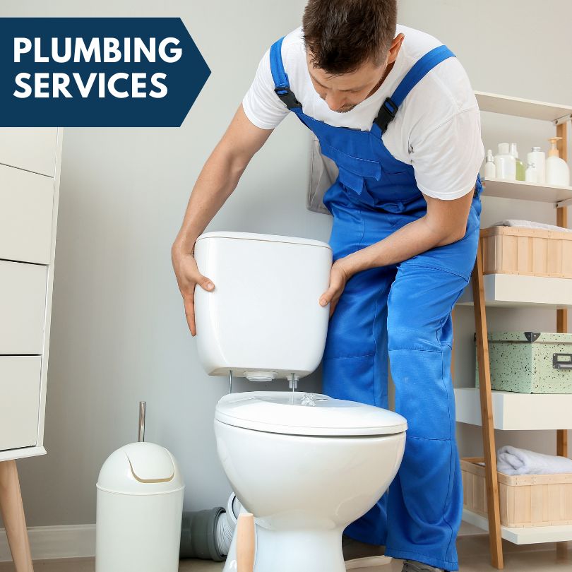 Plumbing Company in Sargeant, MN